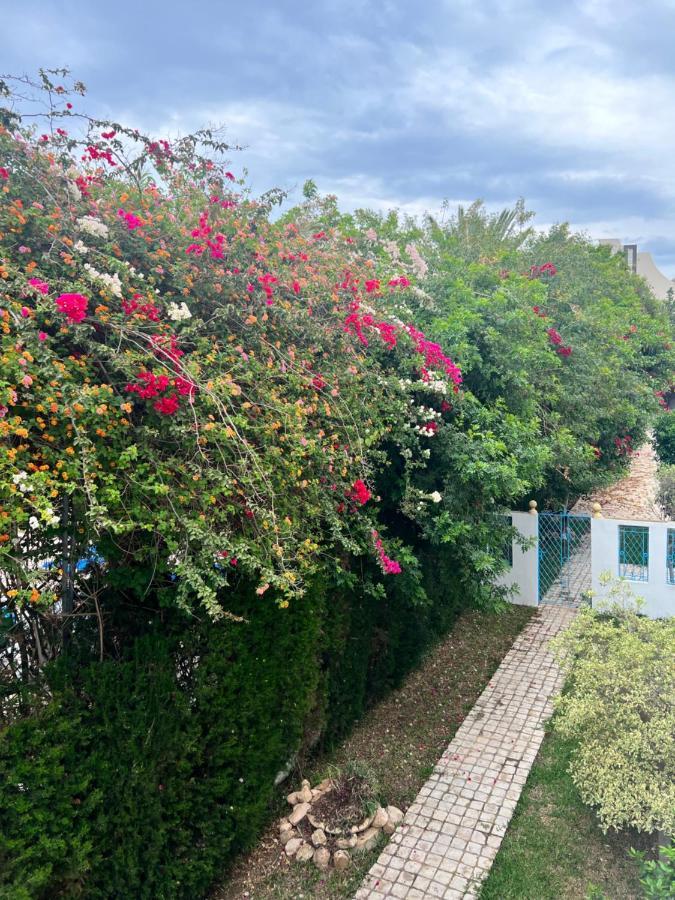 Appartement Rayhan Yasmine Hammamet Buitenkant foto